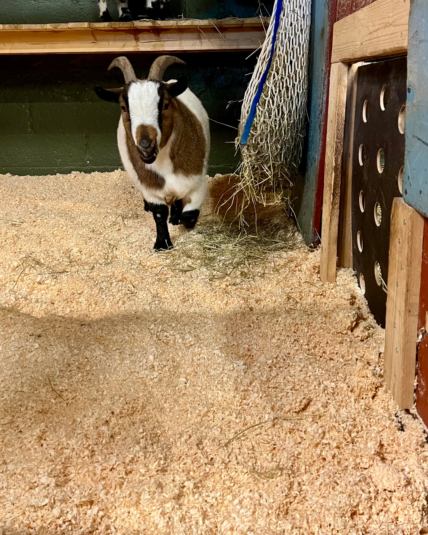 Hempeän lempeät pehkut -ystävänpäivälahja