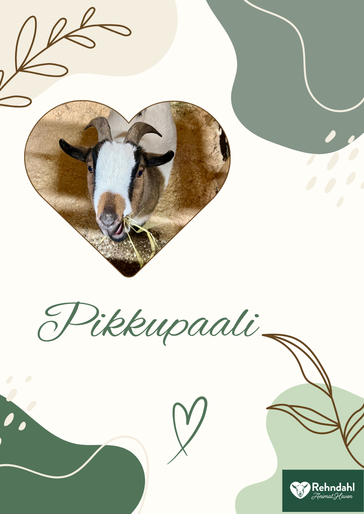 Pikkupaali heinää