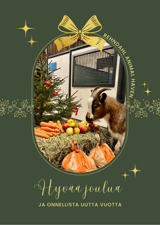 Joulukortti / Veetin jouluherkut
