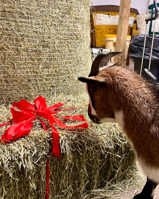 Veetin Pikkupaali -joululahjatoive