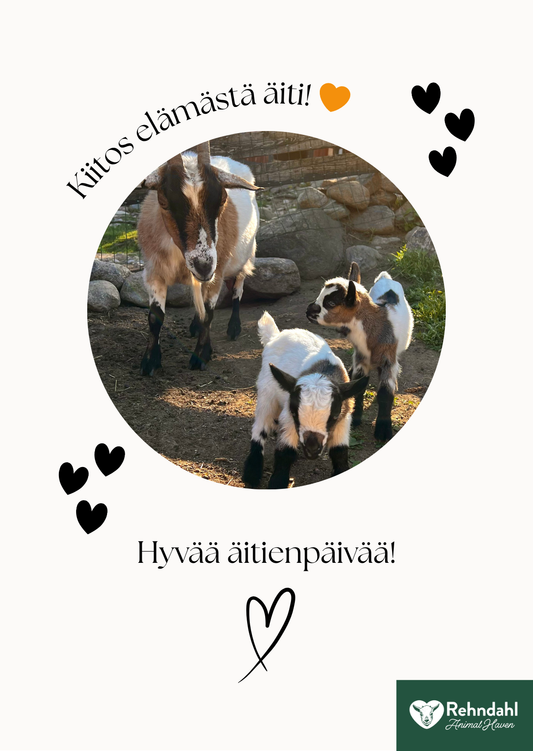 Äitienpäiväkortti / Kiitos elämästä äiti
