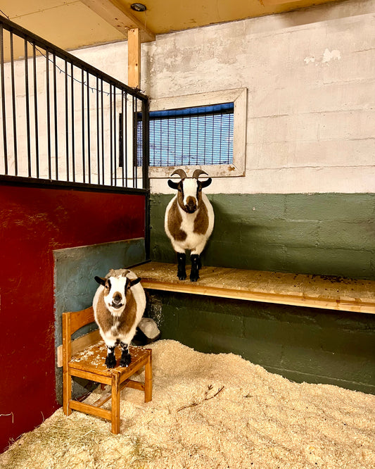 Turvakodin lämmin sydän -ystävänpäivälahja