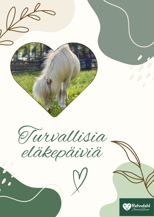 Turvallisia eläkepäiviä