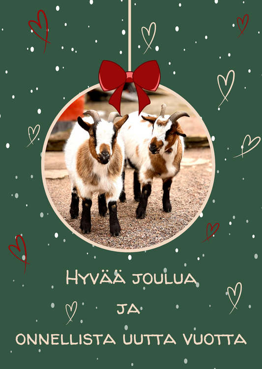 Joulukortti / Veeti & Veikka